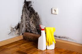 Best Asbestos and Lead Testing During Mold Inspection in Fairburn, GA